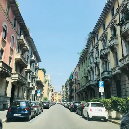 Urban Jungle & Luxury
